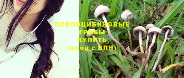 PSILOCYBIN Белоозёрский